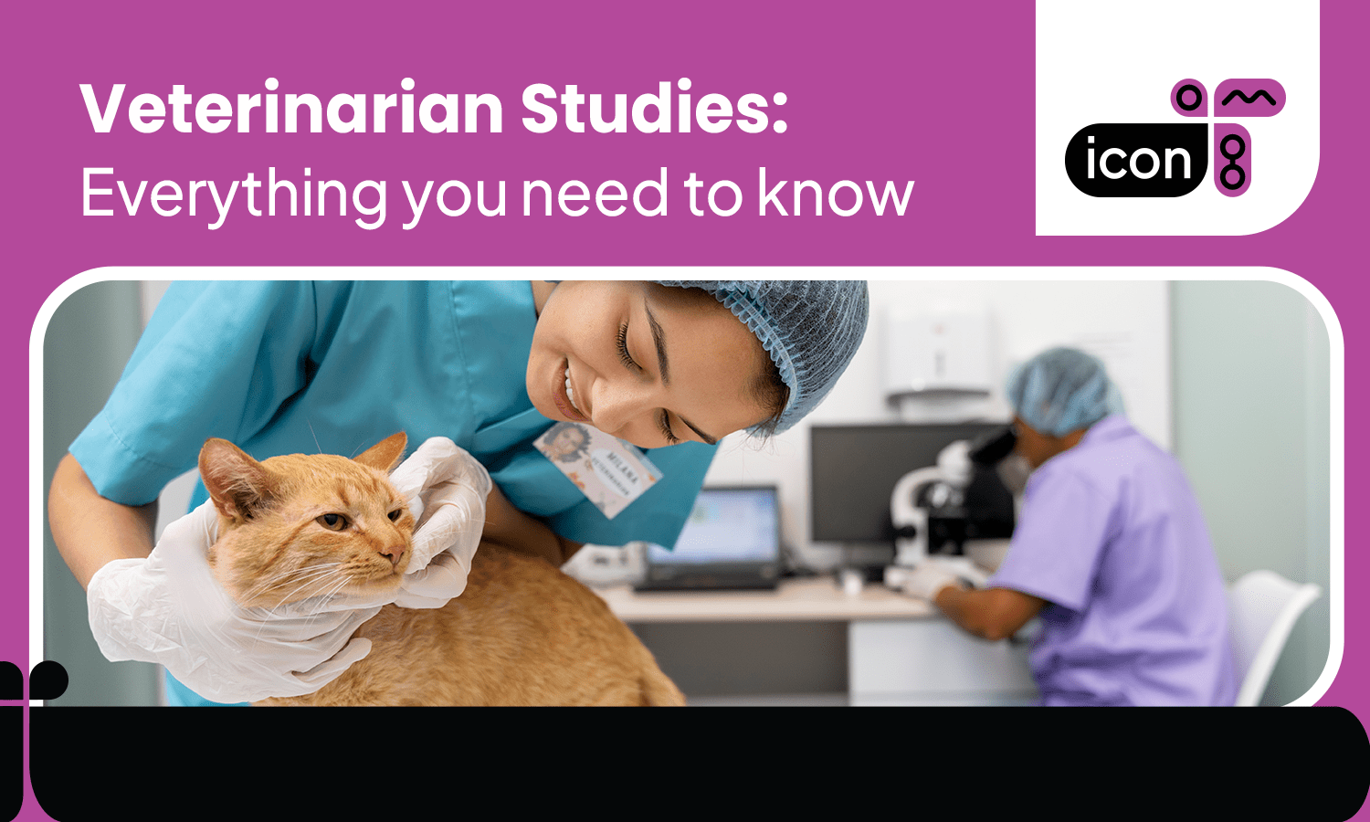 veterinarian studies